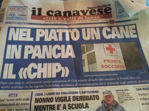 MANGIA IN UN RISTORANTE ESOTICO E ACCUSA FORTE MAL DI PANCIA. ERA CARNE DI CANE - 16/04/2013