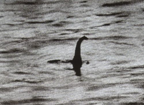 Segnalata la presenza di un mostro marino nel Lago di Garda - 29/11/2012
