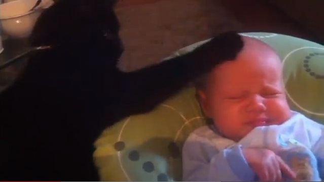 Gatto fa addormentare un bambino che piange - Il video che fa innamorare il web - 18/04/2013