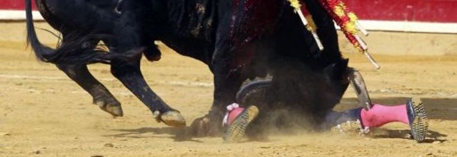 Famoso torero ferito gravemente durante la corrida: il toro ha perforato la gamba - Foto all' interno - 13/10/2013