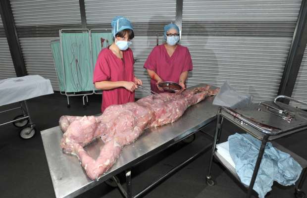 Londra, apre la prima macelleria che vende ''carne umana'' - 13/10/2013