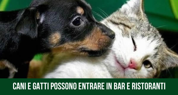 ABOLITO OGNI DIVIETO PER GLI ANIMALI DOMESTICI NEI LUOGHI PUBBLICI - 04/12/2013