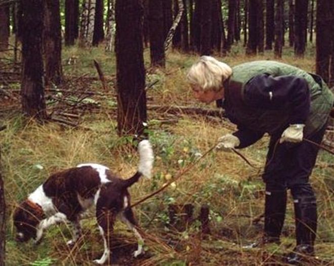 Il cane fiuta una borsa nel bosco: dentro il padrone trova 50mila euro in contanti - 03/01/2013