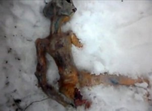 Russia: alieno trovato morto sulla neve. - 02/03/2012