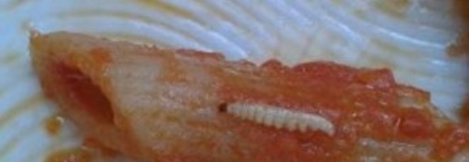 In asilo infantile i vermi sono trovati nel bambino
