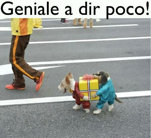 CE NE VO' DE FANTASIA !! - 27/12/2012