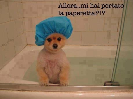 TE STO A ASPETTA' !! - 20/09/2012