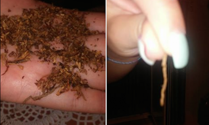 ALLARME SIGARETTE AL VELENO: TROVATI PESTICIDI, INSETTI, FECI E CODE DI TOPO. ECCO LE MARCHE - 01/10/2015