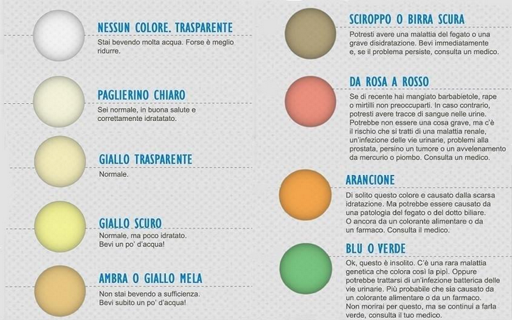 CONOSCERE IL PROPRIO STATO DI SALUTE DAL COLORE DELLE URINE, LE TUE COME SONO? - 29/02/2016