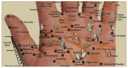 PALMO DELLA MANO: QUESTI SONO I PUNTI DA PREMERE SE TI FA MALE QUALCOSA - 30/11/2015