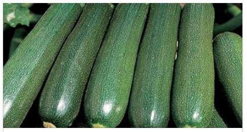 COSA ACCADE SE MANGIAMO MOLTE ZUCCHINE? L'EFFETTO SORPRENDENTE - 12/04/2016