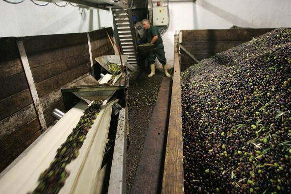 OLIO DI OLIUVA, ECCO LA NUOVA TRUFFA - 04/12/2015