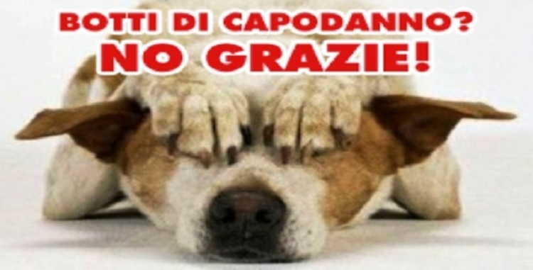 ECCO COME PROTEGGERE ''FIDO'' E ''MICIO'' DAI BOTTI DI CAPODANNO - 21/12/2015