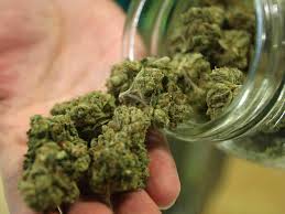LIBERALIZZATO L'ACQUISTO DI MARIJUANA. DAL 1 GENNAIO APRONO I PRIMI COFFEE SHOP - 30/12/2013