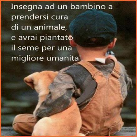 Immagine Divertente - 22/07/2013