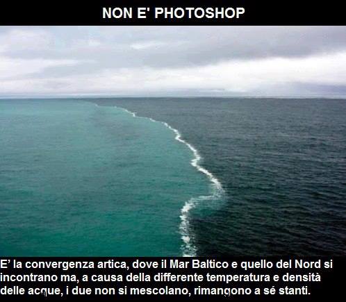 'NO SPETTACOLO !! - 27/05/2013