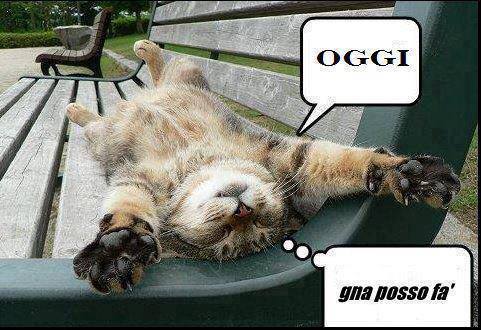 Vignetta Divertente - 27/05/2013