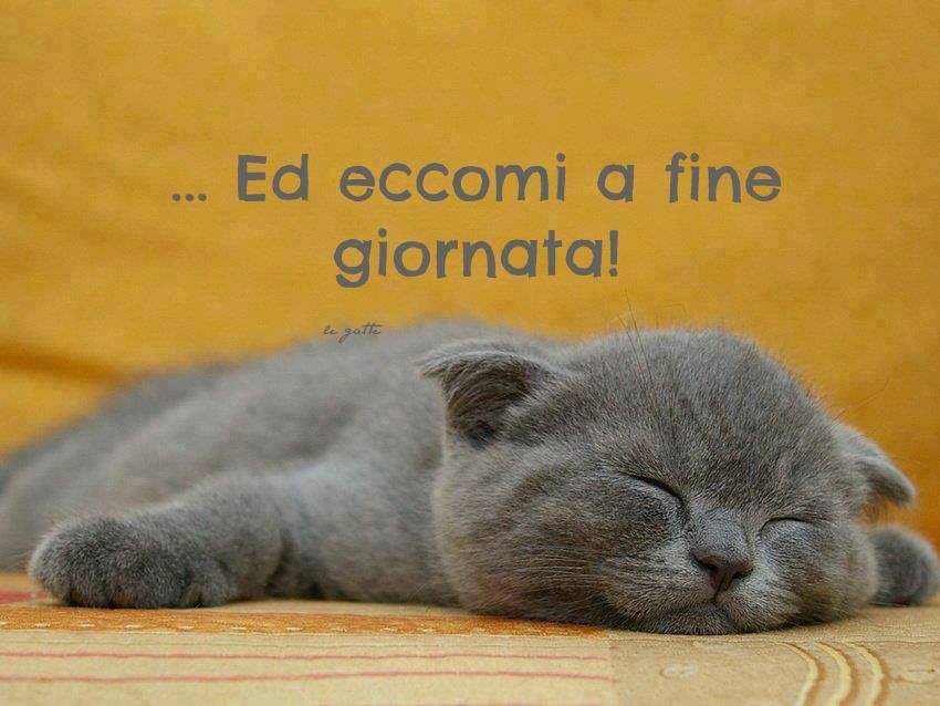 Immagine Divertente - 20/07/2013