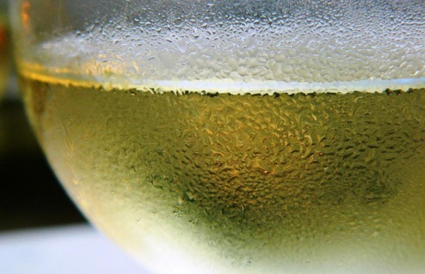 IL VINO BIANCO FA BENE ALLA SALUTE: ECCO DOVE E PERCHE' - 18/07/2015