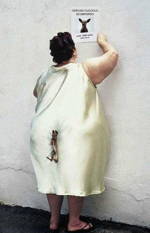 Immagine Divertente - 31/05/2013