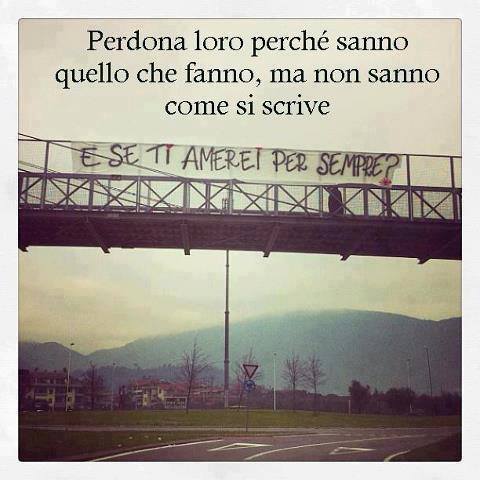 Immagine Divertente - 31/05/2013