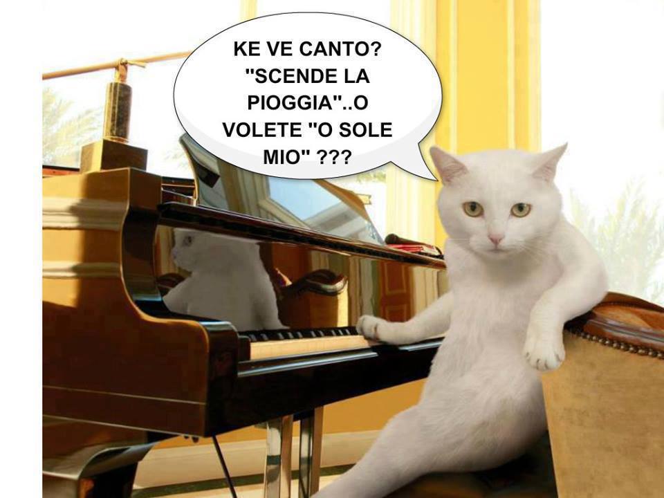 Vignetta Divertente - 20/07/2013