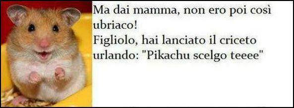 Immagine Divertente - 26/05/2013