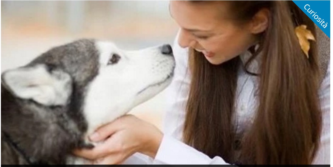 ECCO COSA SIGNIFICANO LE CAREZZE AL CANE IN BASE ALLE PARTI DEL CORPO - 26/11/2016