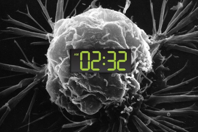 ''FA VENIRE IL CANCRO'', LA SCOPERTA SHOCK DEL MIT - 25/01/2017