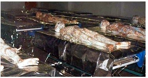 TROVATO LABORATORIO CON CORPI ALIENI AD AMATRICE: LA SCOPERTA SHOCK CHE FA TREMARE IL MONDO - 26/01/2017
