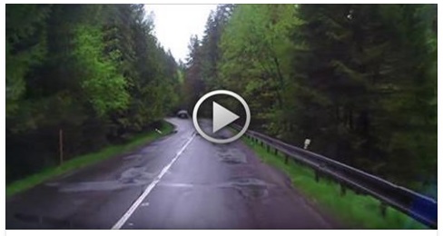STANNO GUIDANDO ATTRAVERSO IL BOSCO QUANDO AL SECONDO 0,12 SUCCEDE L'INIMMAGINABILE - VIDEO - 07/02/2017