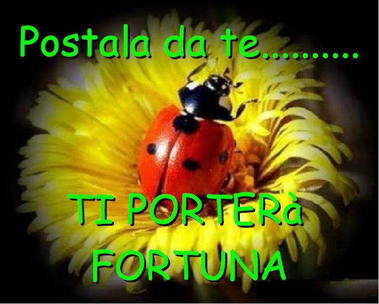 NUN SE SA MAI !! - 19/11/2012