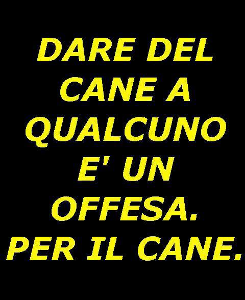 Immagine Divertente - 27/06/2013