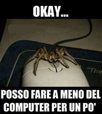 Immagine Divertente - 30/06/2013