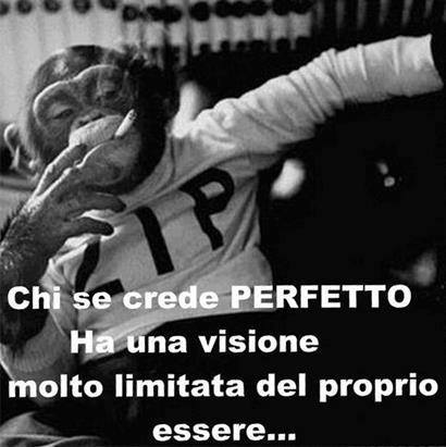 Immagine Divertente - 01/07/2013