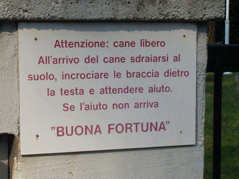 Immagine Divertente - 20/07/2013