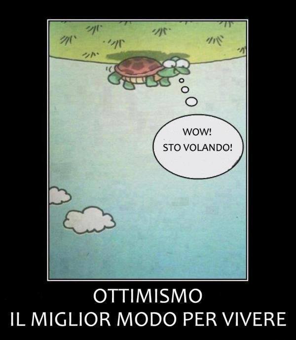 Immagine Divertente - 07/08/2013