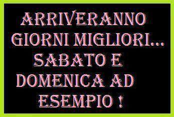 Immagine Divertente - 06/09/2013