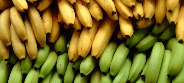 LE BANANE SONO A RISCHIO ESTINZIONE. ECCO PERCHE' - 05/02/2014