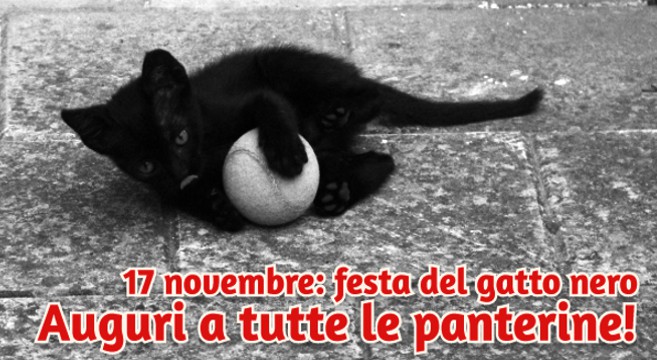 OGGI E' LA FESTA DEL GATTO NERO - 17/11/2014