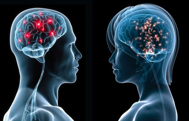 IL CERVELLO DELLE DONNE E' PIU' EFFICIENTE DI QUELLO DEGLI UOMINI. ECCO PERCHE' - 25/11/2014