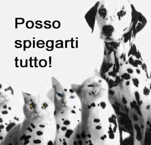 TE POSSO SPIEGA' TUTTO !! - 01/11/2012
