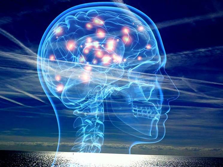 CHI SCOREGGIA SPESSO E' PIU' INTELLIGENTE - 13/01/2016