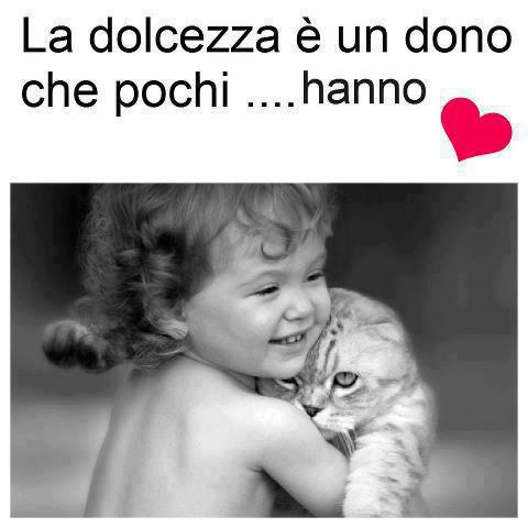 Immagine Divertente - 01/11/2012
