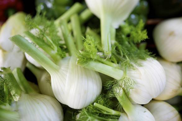 LA DIETA DEL FINOCCHIO PER PERDERE PESO IN 5 GIORNI - 02/02/2016