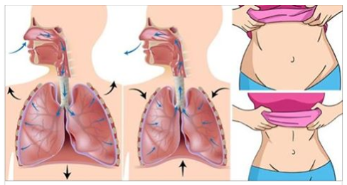 PER PERDERE IL GRASSO ADDOMINALE USA QUESTA GENIALE TECNICA GIAPPONESE: E' SEMPLICE E INFALLIBILE - 26/06/2017