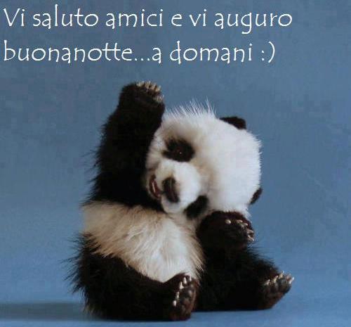 VE SALUTO E VE AUGURO 'NA BONA NOTTE !! - 15/11/2012