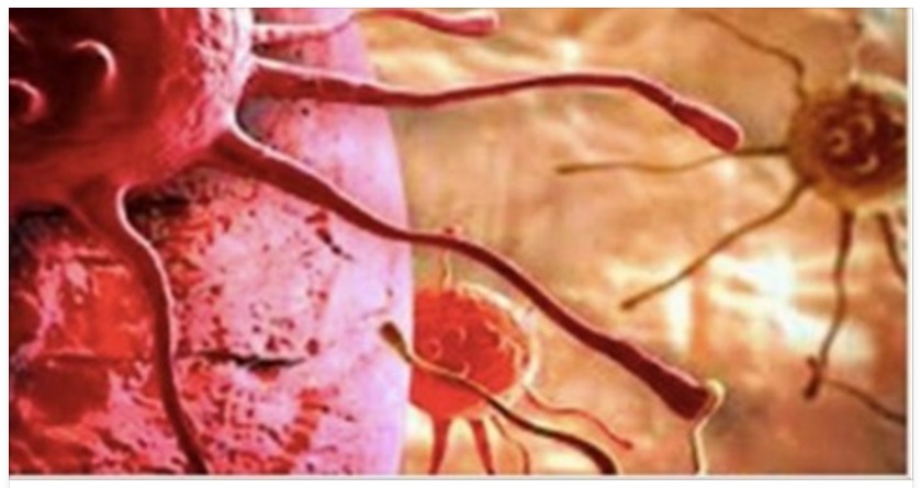 NUOVA FORMA DI CANCRO TRASMISSIBILE? L'ALLARME DEGLI ESPERTI - 13/03/2016