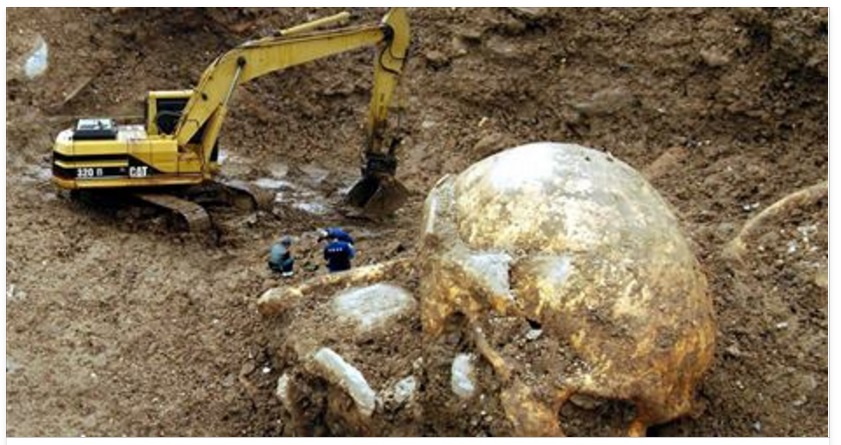 'SCHELETRO DI UN GIGANTE RITROVATO A MARCIANISE', LA FOTO FA IL GIRO DEL WEB, POI LA SCOPERTA - 13/03/2016