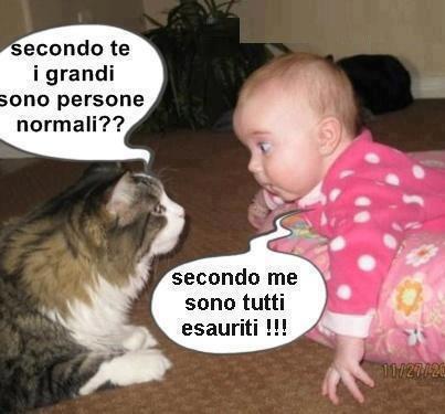 NUN C'HANNO TUTTI I TORTI !! - 26/11/2012